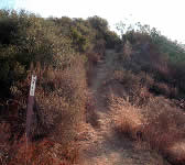 CSE010 Trail sign