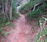 CSE006 Junction with old trail