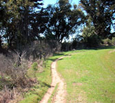 DEV011 Single track trail