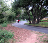 ENN003 Trail meets road