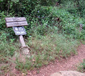 ENN008 Trail junction