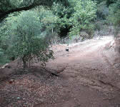 SY007 San Ysidro Trail junction