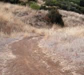 SNY008 Trail ends at road