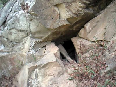 Image Number Eight