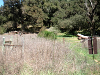 Image Number Sixteen