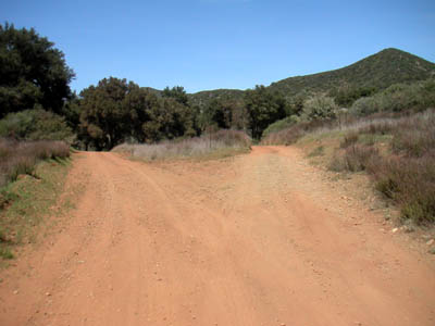 Image Number Seventeen