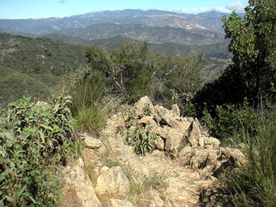 Image Number Five