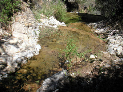 Image Number Nine