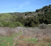 CSN014 Open meadow