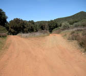 CSN017 Fork in the road