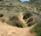 CSN018 Trial on right