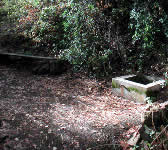 CSN002 Horse trough