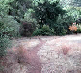 CSN003 Forbush Flats junction