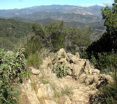 CSN005 Top of ridge