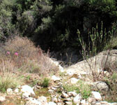 CSN007 Bottom of hill