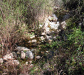 CSN008 Stream by trailside