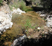 CSN009 Grotto crossing