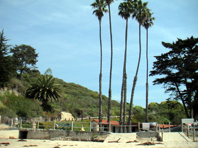 Image Number Four