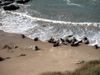   Carpinteria Bluffs  