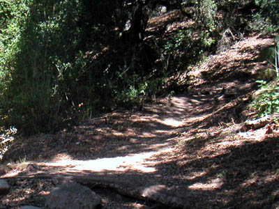 Image Number Sixteen