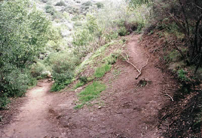 Image Number Five