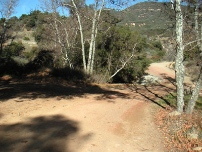 Image Number Six