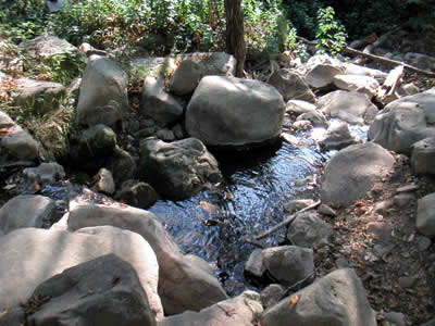 Image Number Nineteen