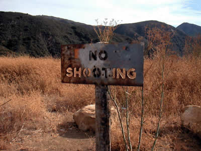 Image Number Twelve